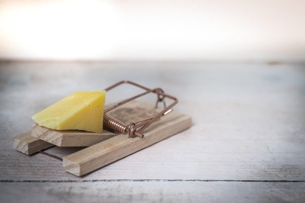 Création d'entreprise : les 10 pièges juridiques à éviter