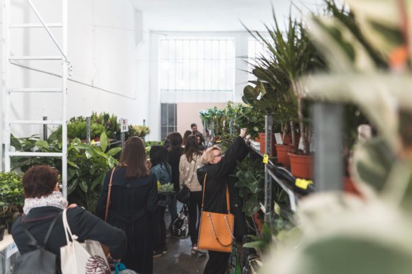 Plant Addict - Vente Privée