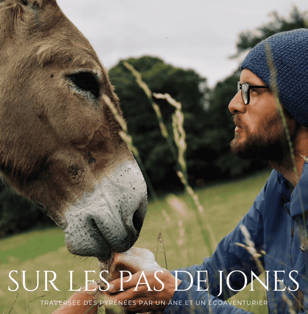 Exposition Adrien Falewee – “Sur les pas de Jones”