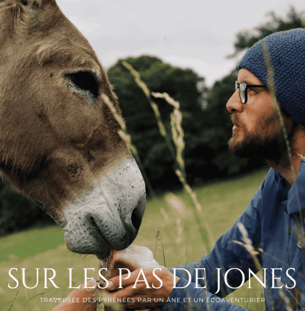 Exposition Adrien Falewee - 